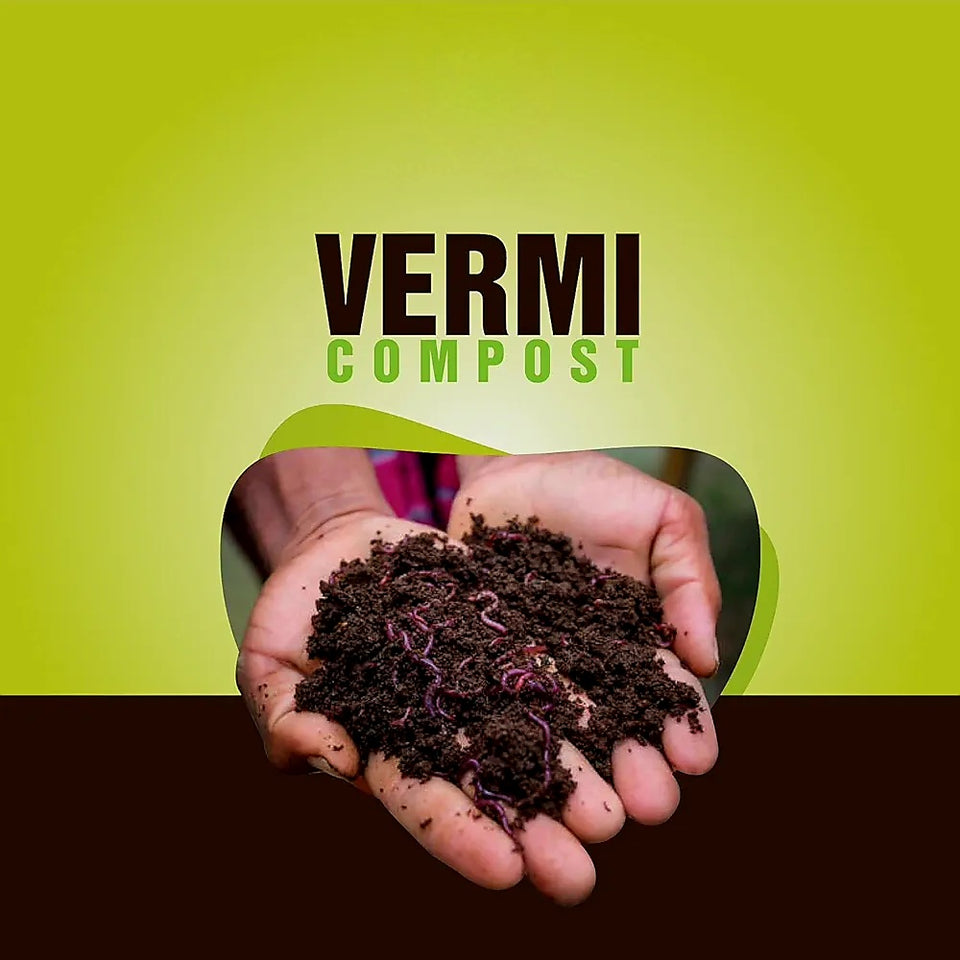 Dreameelane's Organic Vermicompost - 500gms