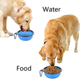 Dreameelane's Portable Collapsible Pet Bowl
