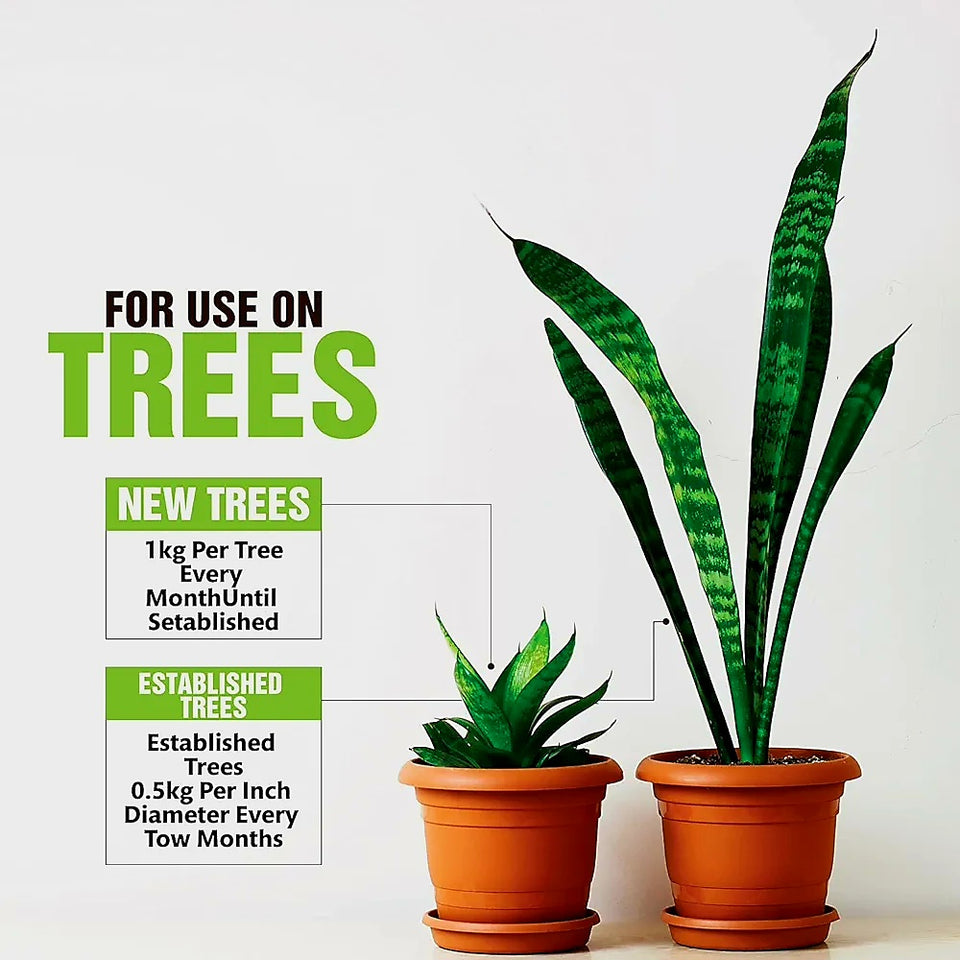 Dreameelane's Organic Vermicompost - 500gms