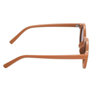 Dapper Brown Lens Brown Round Sunglasses (Pack of 2)