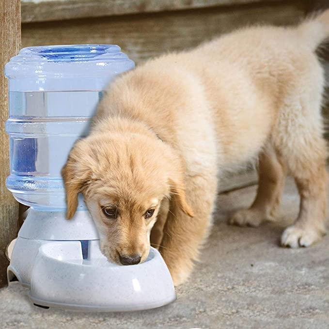 PawSip Pet Automatic Water Dispenser