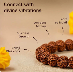 Shreeleela 7 Mukhi Rudraksha Bracelet