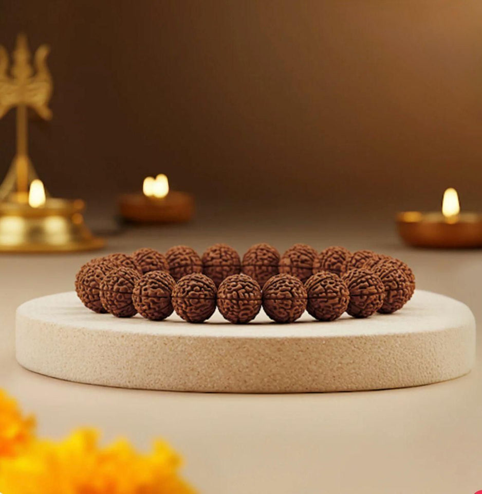 Jhanak 5 Mukhi Rudraksha Bracelet